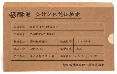 一般纳税人公司财务管理的智慧之选 深圳市计然技代理记账与国内贸易代理服务解析