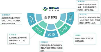 华威医药 国内CRO行业中的互联网销售先锋